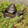 Accent Plus Cast Iron Garden Snail Key Hider