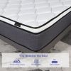 10 Inch Mattress U17