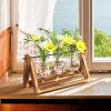 Desktop Glass Planter Bulb Plant Terrarium with Wooden Stand