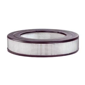 Honeywell Honeywell True HEPA Replacement Filter