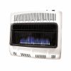 Mr. Heater 30000 BTU Vent-Free Dual Fuel Blue Flame Heater